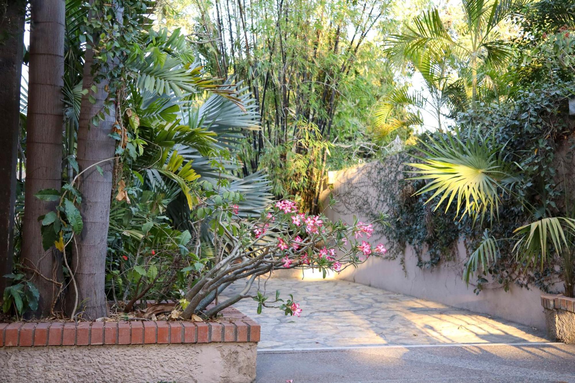 Hotel Casa Ortiz Ciudad Valles Exterior photo